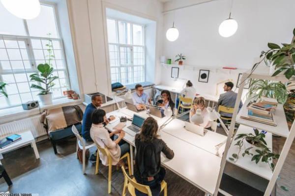 体育培训违法怎么举报(图1)